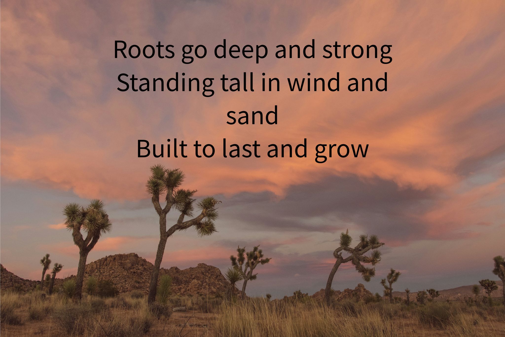 Joshua-Trees-haiku