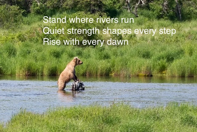 Katmai-haiku